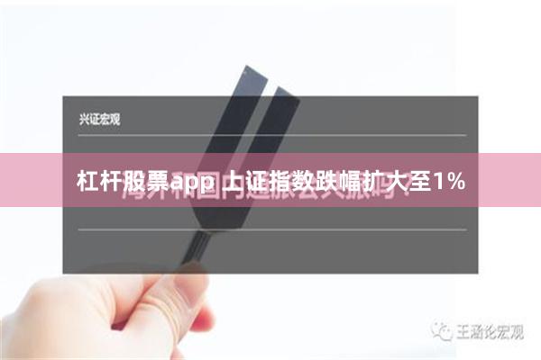 杠杆股票app 上证指数跌幅扩大至1%