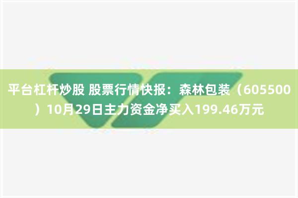 平台杠杆炒股 股票行情快报：森林包装（605500）10月29日主力资金净买入199.46万元