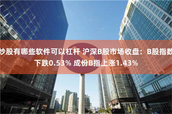 炒股有哪些软件可以杠杆 沪深B股市场收盘：B股指数下跌0.53% 成份B指上涨1.43%