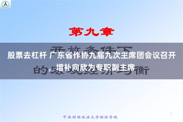 股票去杠杆 广东省作协九届九次主席团会议召开，增补向欣为专职副主席