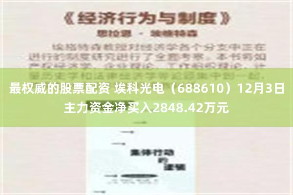 最权威的股票配资 埃科光电（688610）12月3日主力资金净买入2848.42万元