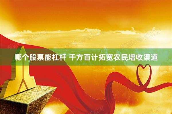 哪个股票能杠杆 千方百计拓宽农民增收渠道