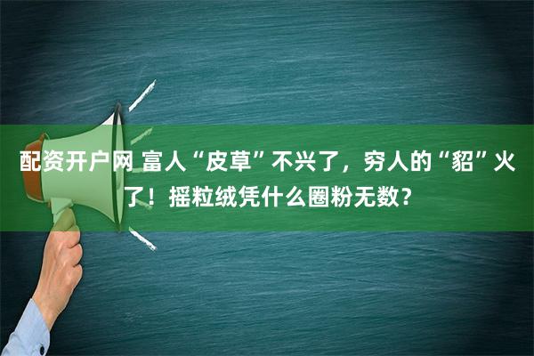 配资开户网 富人“皮草”不兴了，穷人的“貂”火了！摇粒绒凭什么圈粉无数？