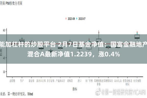 能加杠杆的炒股平台 2月7日基金净值：国富金融地产混合A最新净值1.2239，涨0.4%