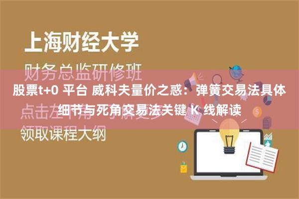 股票t+0 平台 威科夫量价之惑：弹簧交易法具体细节与死角交易法关键 K 线解读